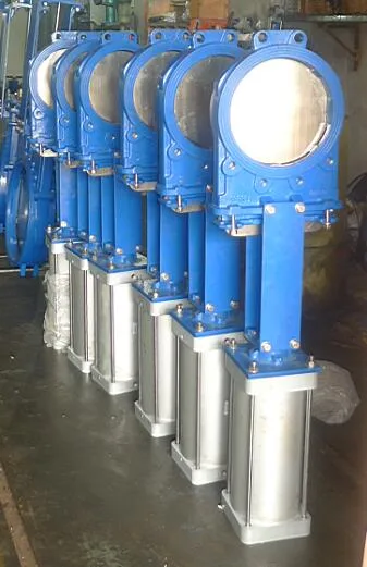 Di Body Swing Worm Gear Knife Gate Valve with Ce Approval