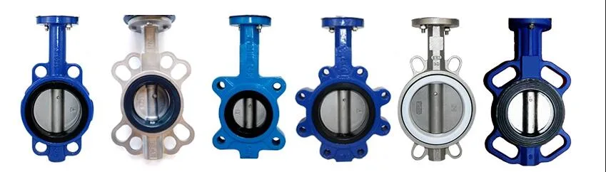 Metal Check Valves Prevent Backflow Ductile Pair of Clamping Check Valves