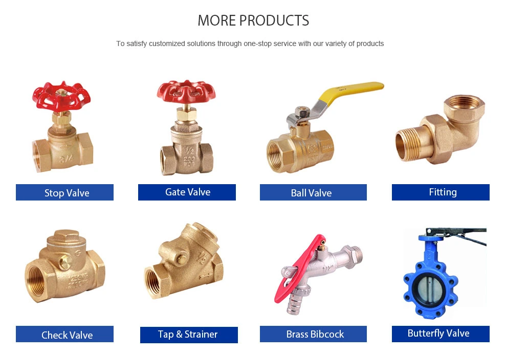 Expert Factory of High Pressure DN32/40/50/150 Rising Stem Bellow Seal Stainless Steel Globe Valve