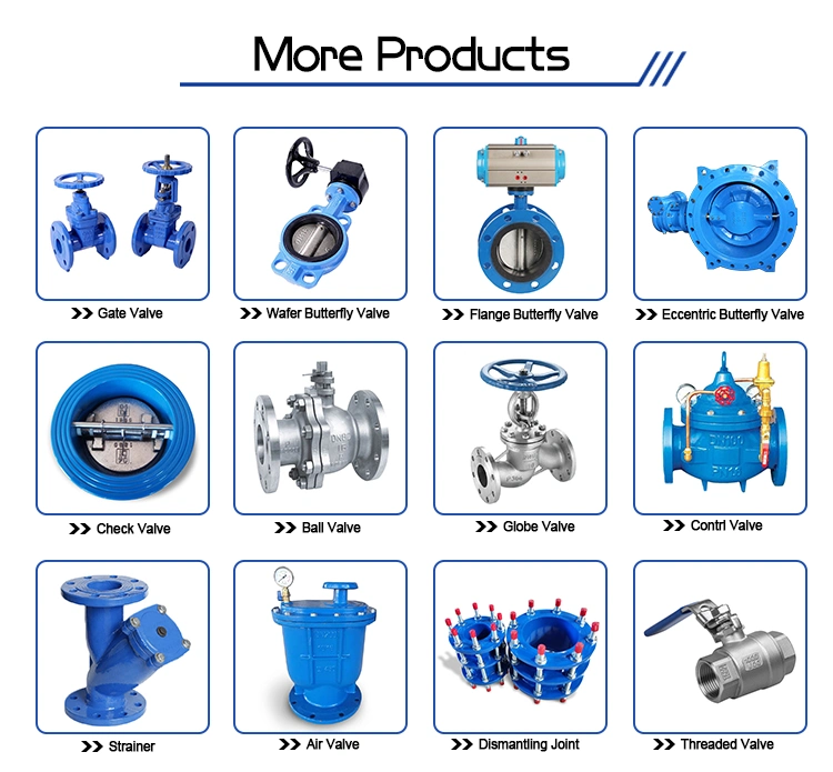 DIN BS JIS Flange Di Ci Wcb Body Double Flange Hard Soft Seal Double Triple Offset Eccentric Butterfly Valve