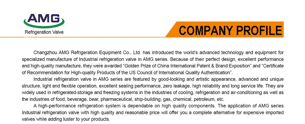 100-450mm Cast Steel Butt Welding Angle Ammonia Globe and Check Valve